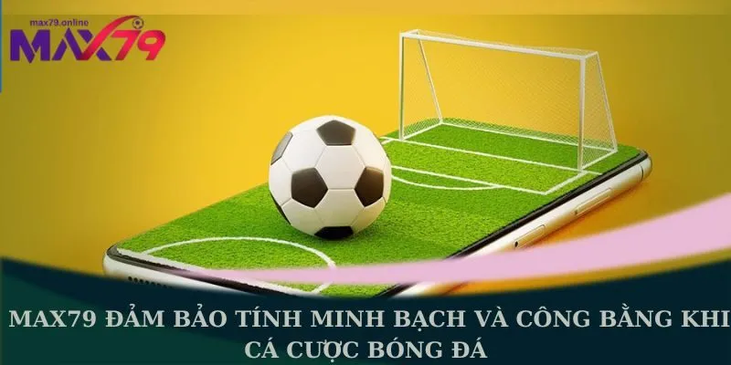  cá cược bóng đá 